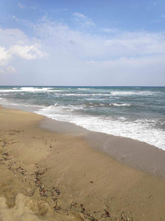 Relax&Dream Apartment Long Beach Agios Georgios  Eksteriør billede